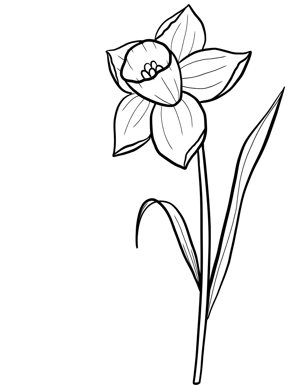 Daffodil Icon